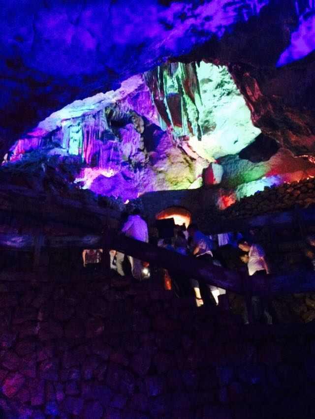 救援花卉销售员