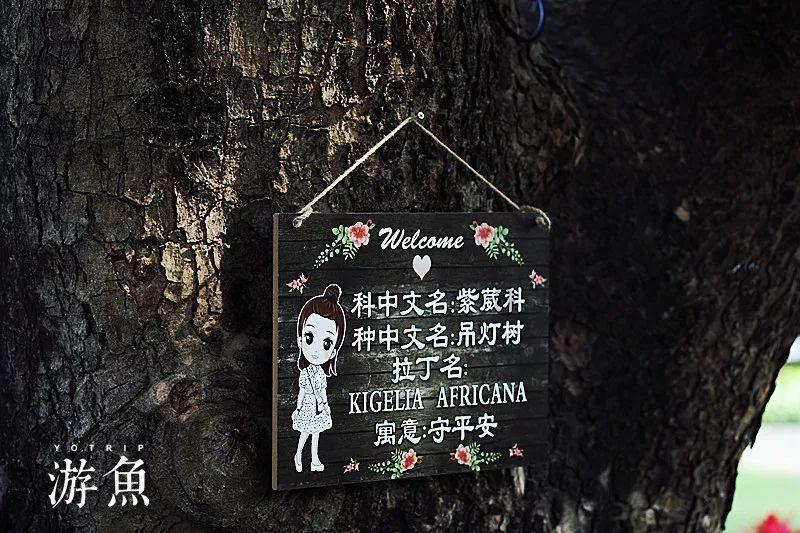 德古拉伯爵的住所