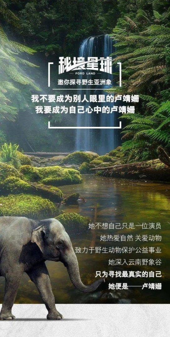 探索因为疫情去河北税务局预缴税款怎么办? - 全球最佳红迪网平台