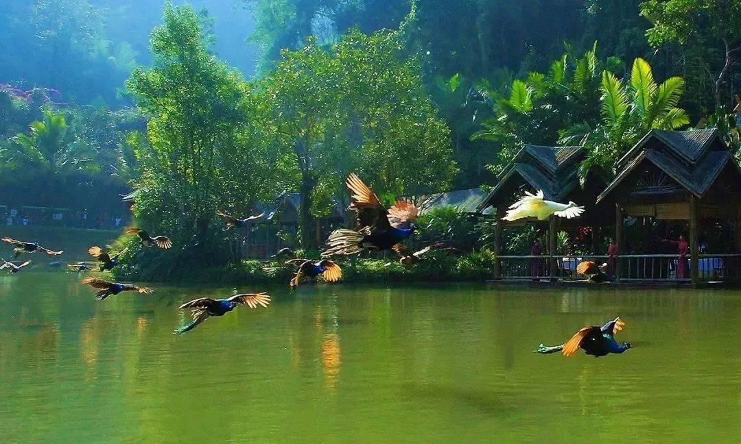 这手镯9000一对贵吗，是染的吗