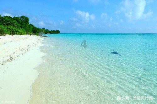 环县：村集体经济拓宽群众致富路