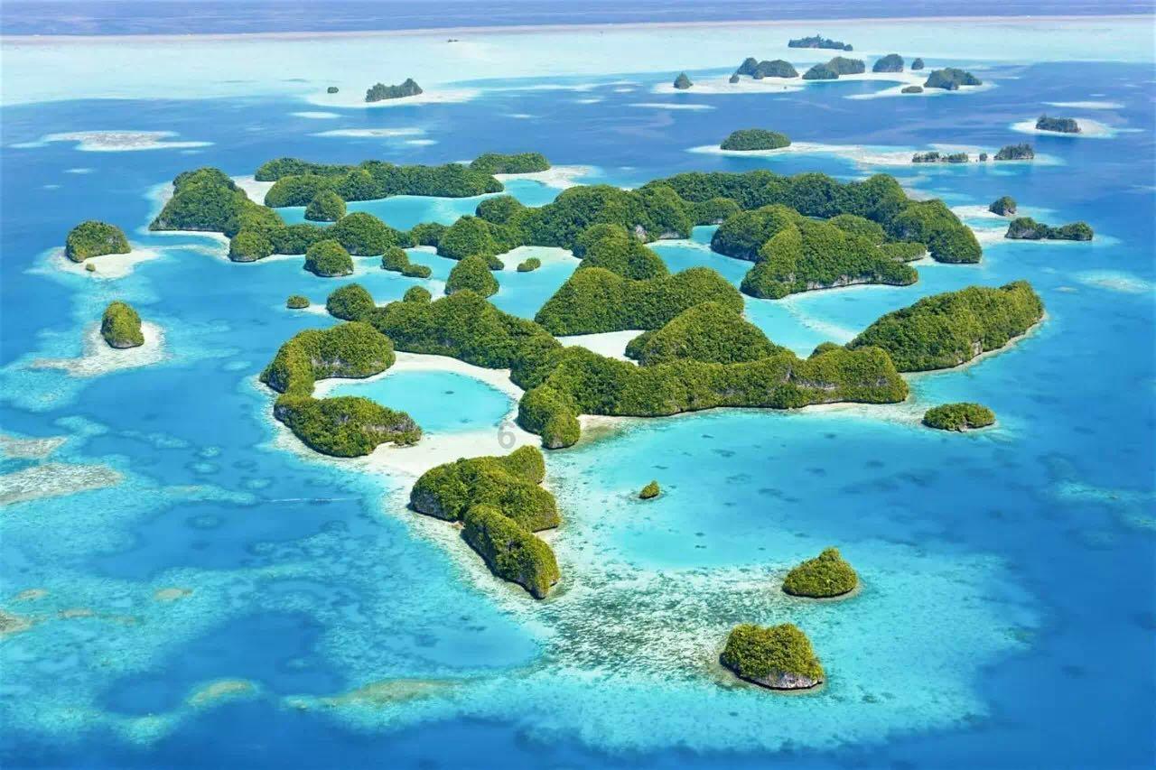 突发!加拿大国际生学签政策改革!