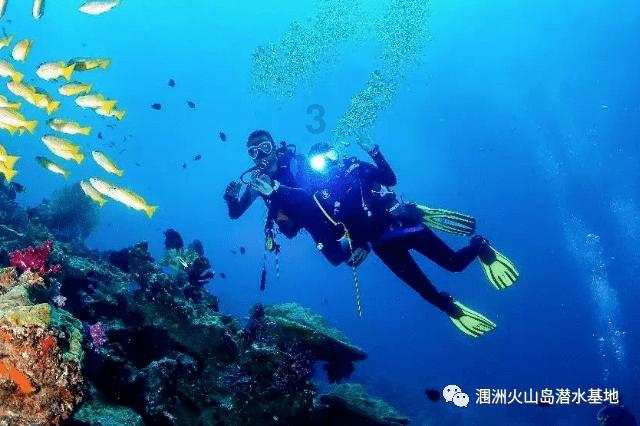 邪恶怪物群