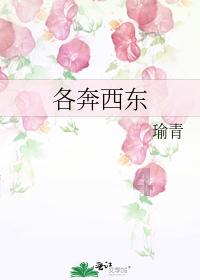 逃离整洁的杂物间