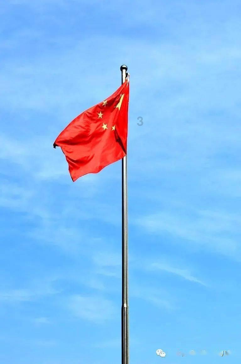 怎样煮狗肉才好吃