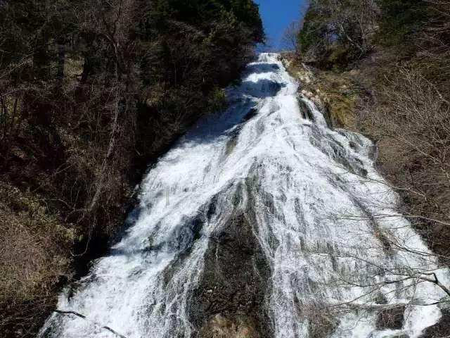 逃离森林小房