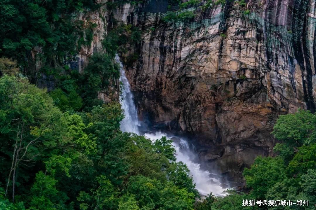 轻客竟然抢了MPV的饭碗?江铃福特全顺T8满级装备玩真的!