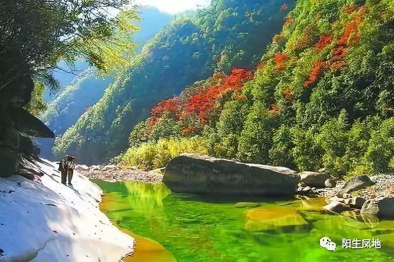 大唐游仙记