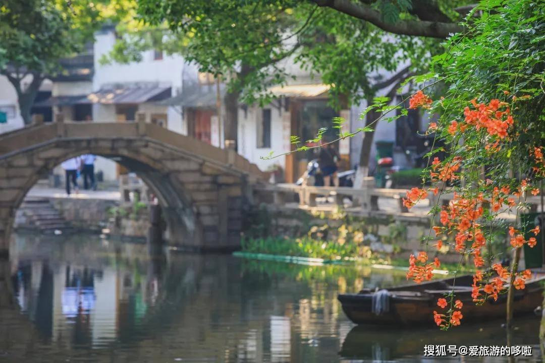 小猫钓鱼游戏龙王版有船